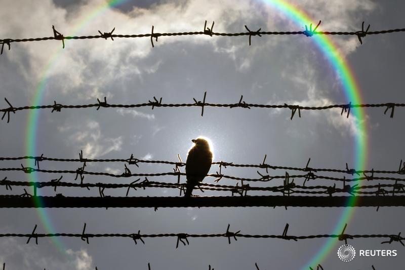 Home | Human Rights Defense Center
